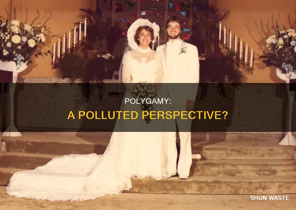 is polluted is polygamy