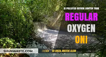 How Does Pollution Affect Oxygen Weight?