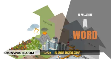 Is "Polluters" a Word? Exploring Language and the Environment