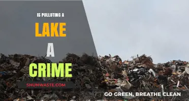 Lake Pollution: Criminal or Civil Offence?