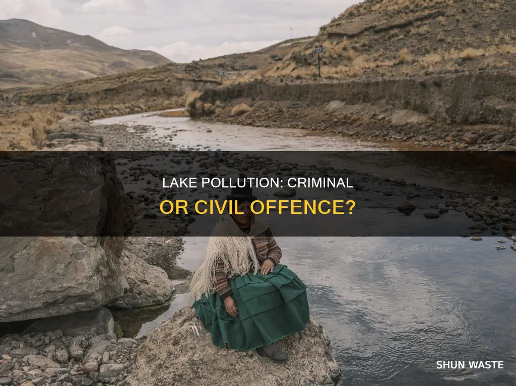 is polluting a lake a crime