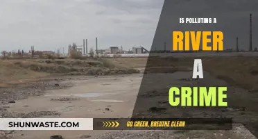 River Pollution: Criminal Offense or Not?