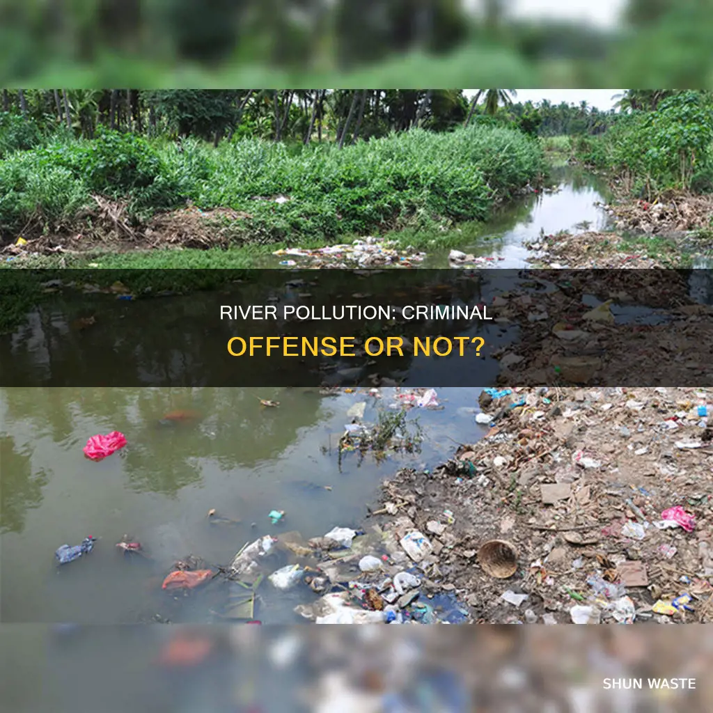 is polluting a river a crime