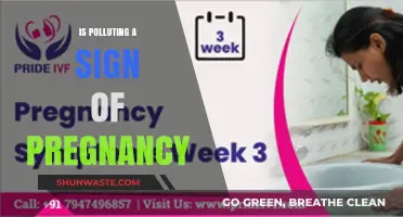 Pollution and Pregnancy: What's the Connection?
