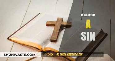 The Pollution Sin: Harming God's Creation