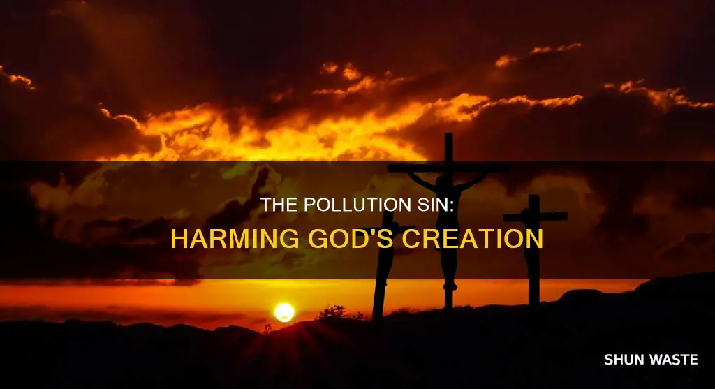 is polluting a sin