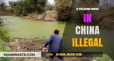 China's Rivers: Pollution and the Law