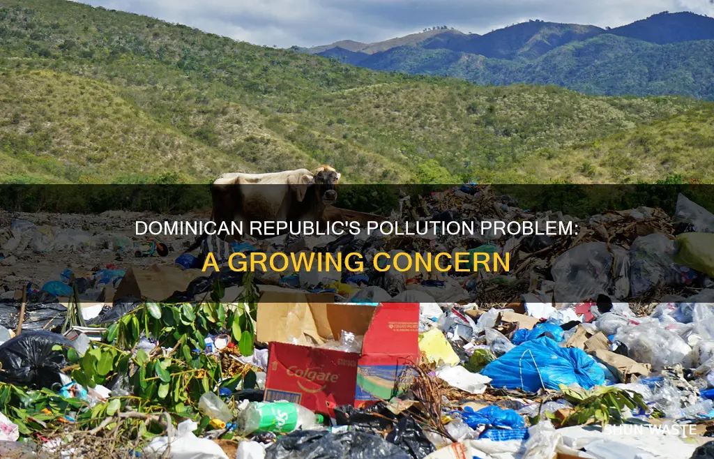 is pollution a big problem in the dominican republic