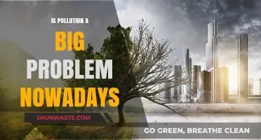 Pollution's Impact: A Modern-Day Crisis