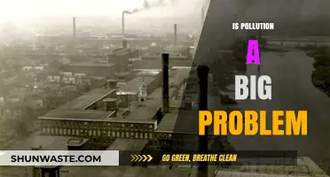Pollution's Impact: A Global Concern?