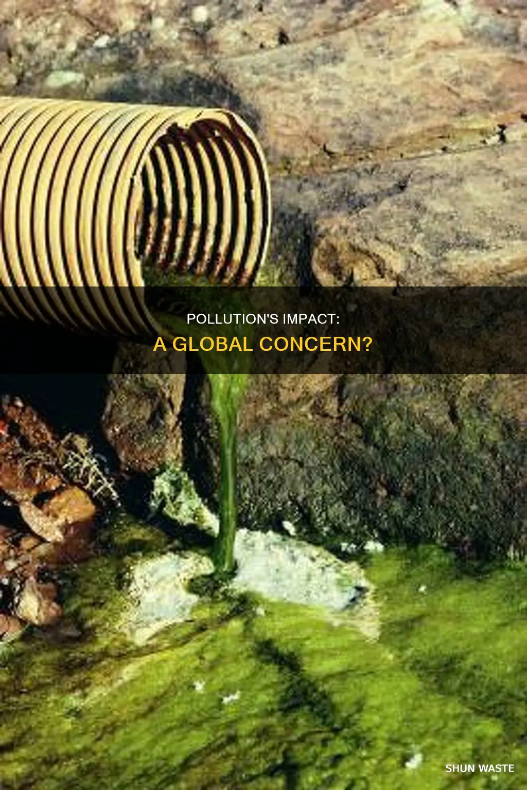 is pollution a big problem