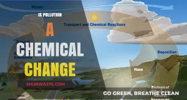 How Pollution Causes Chemical Changes in the Environment