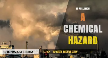 The Toxic Truth: Pollution's Chemical Hazards
