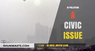 Civic Duty: Pollution's Impact and Our Responsibility