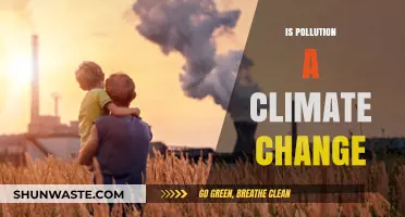 Climate Change: Pollution's Impact and Influence