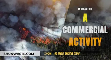The Dark Side of Commercial Activity: Pollution