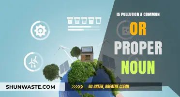 Understanding Nouns: Pollution as a Concept
