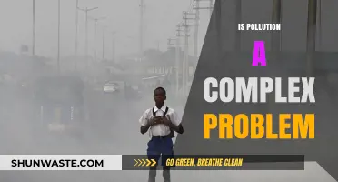 Pollution's Complex Web: A Global Crisis