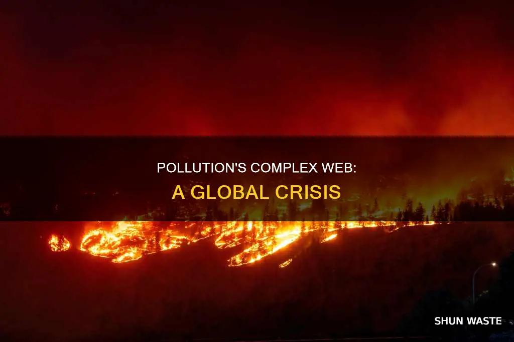 is pollution a complex problem