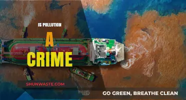 Pollution: Criminal Act or Human Right?