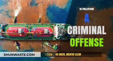 Pollution: Criminal Act or Human Negligence?