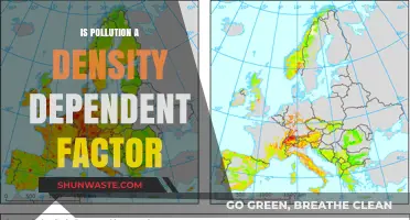 How Pollution Affects Density-Dependent Populations