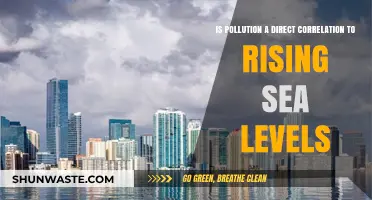 Pollution's Impact: Rising Sea Levels and Their Correlation