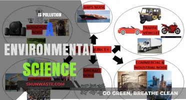 The Impact of Pollution on Environmental Science