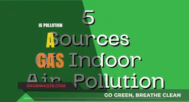 The Air We Breathe: Is Pollution a Gas?