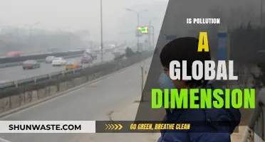 Pollution's Global Reach: A Multidimensional Crisis