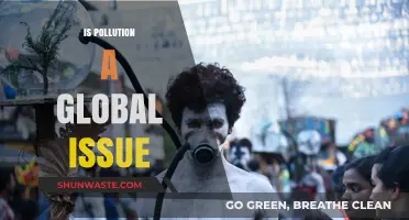 Pollution's Global Impact: A Universal Concern