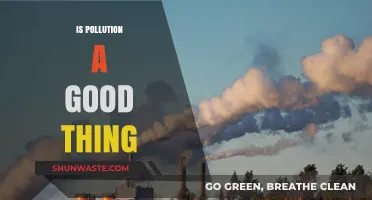 Pollution: Unseen Benefits, Uncovered