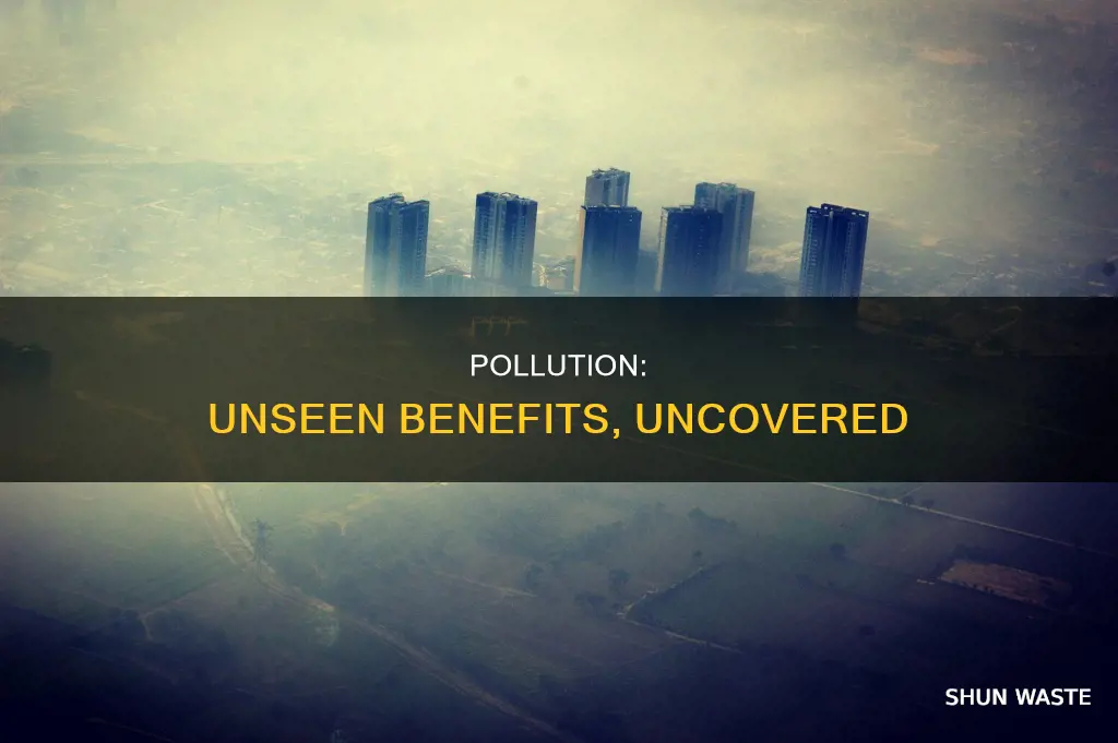 is pollution a good thing
