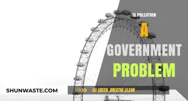 Governments' Role in Pollution: Who's Responsible?