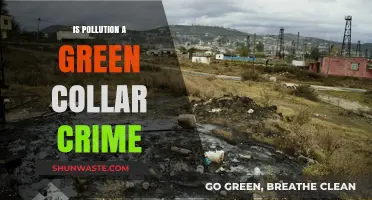 Green Collar Crimes: Pollution's Impact and Legal Consequences