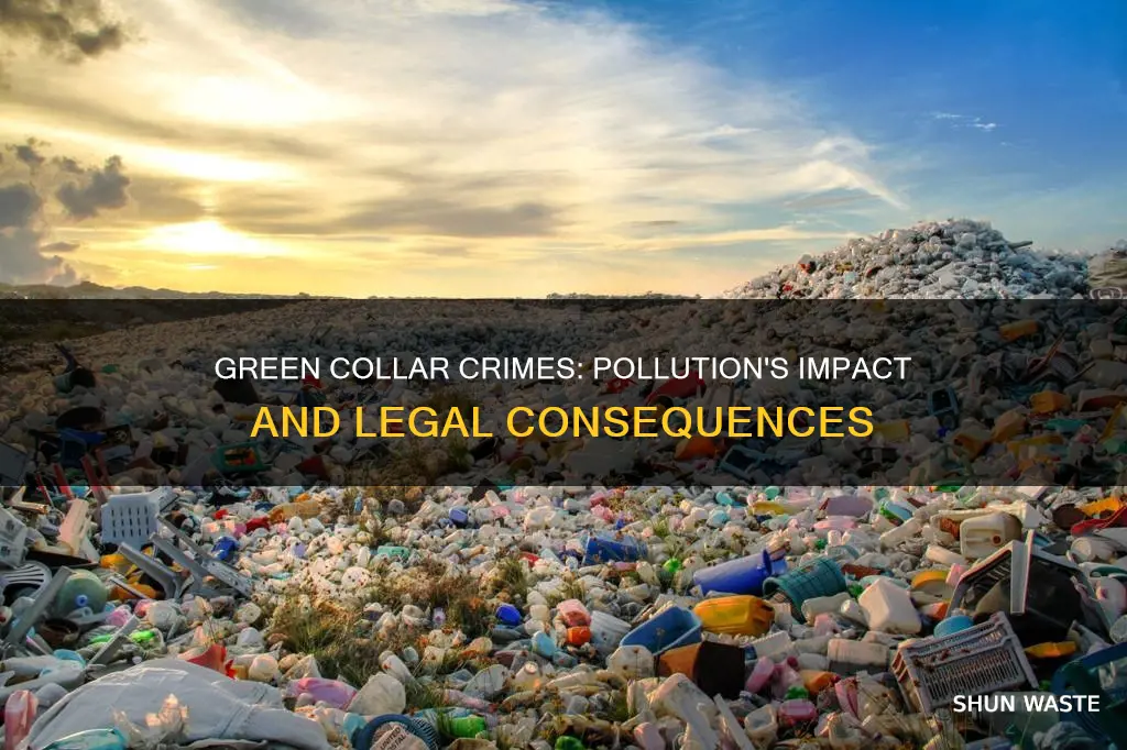 is pollution a green collar crime