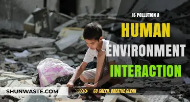 Human Impact: Pollution and Our Environment