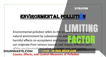 Pollution's Limiting Factors: Exploring the Constraints