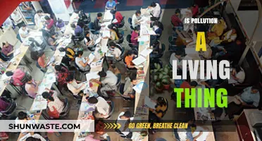 The Mystery of Pollution: Is it Alive?