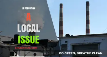 Pollution's Impact: Global or Local Concern?