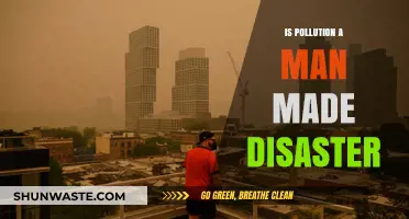 Humanity's Impact: Pollution and the Environment