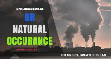 Human Impact: Pollution's True Origin