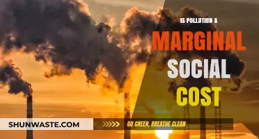 Pollution's Social Cost: Who Pays the Price?