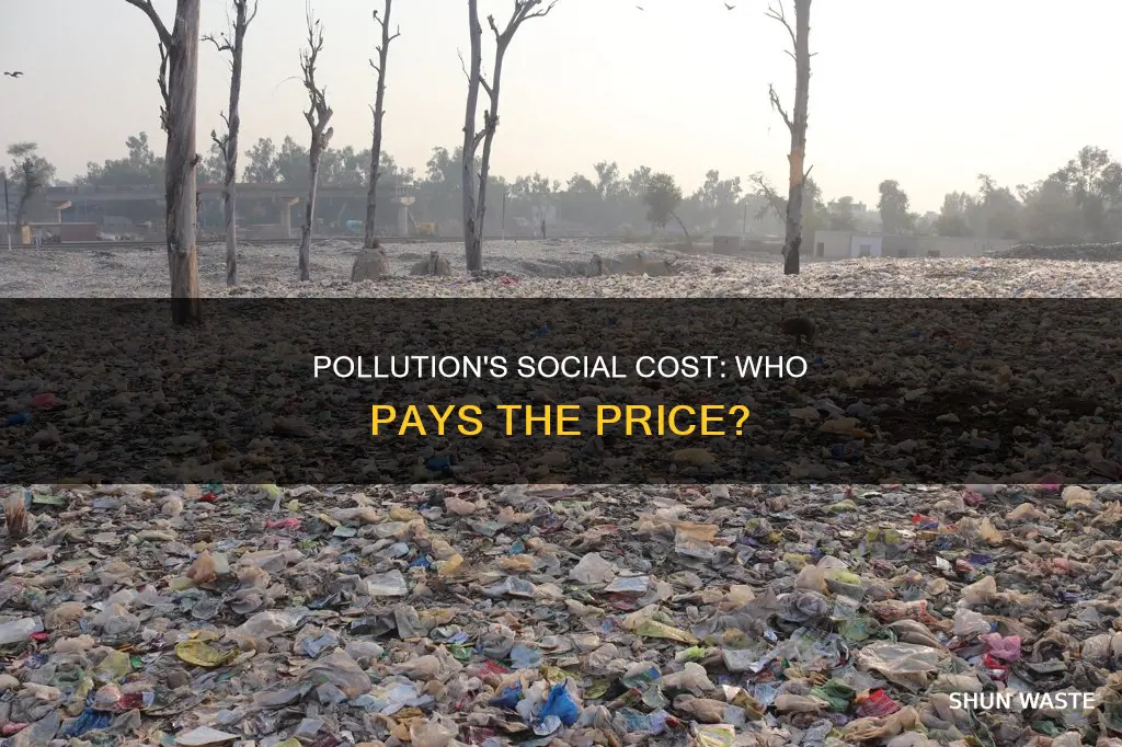 is pollution a marginal social cost