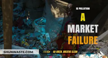 Pollution's Impact: Market Failure or Success?