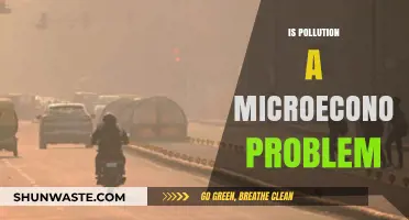 Pollution's Microeconomic Impact: Costly and Complex