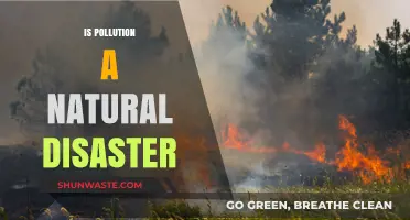 The Impact of Pollution: Natural Disaster or Human Error?