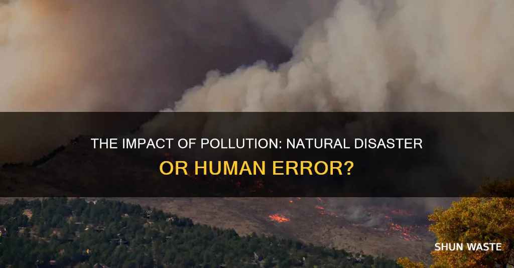 is pollution a natural disaster