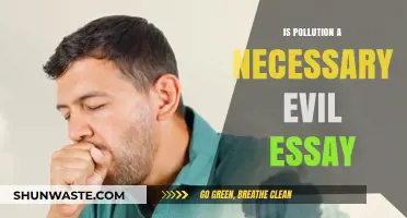 Pollution: A Necessary Evil or Unnecessary Burden?