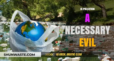 Pollution: A Necessary Evil or Avoidable Catastrophe?